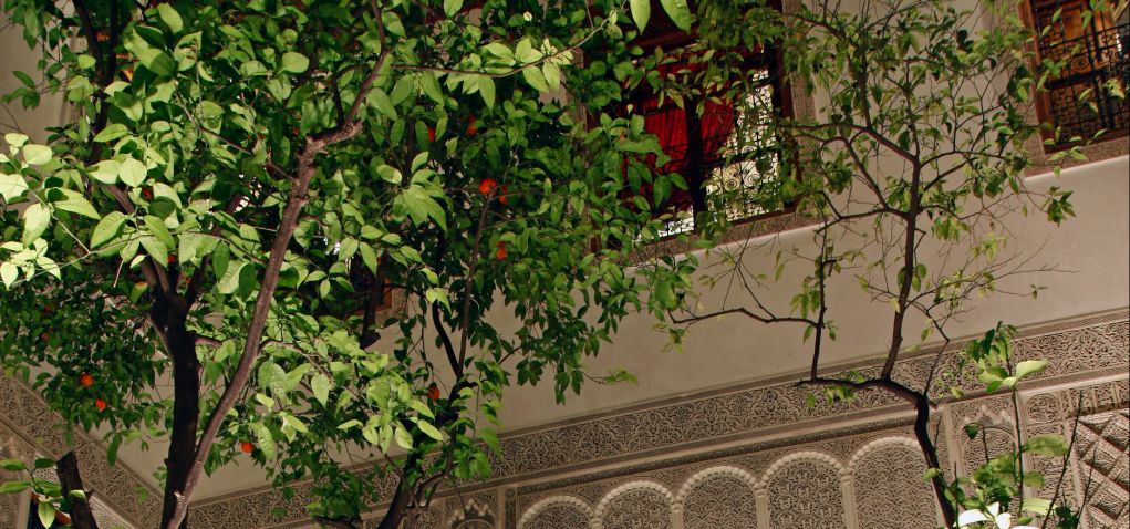 Riad Alya