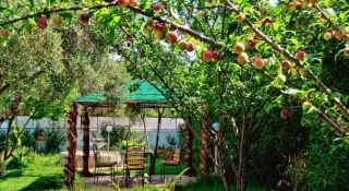 La Ferme touristique